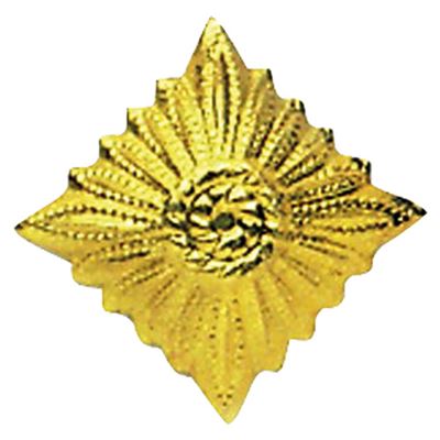 Anstecker Dienstgrad NVA Stern GOLD - GOLD