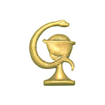 Abzeichen zur Unterscheidung zwischen ČSLA/AČR ZDRAVOTNÍK Gold