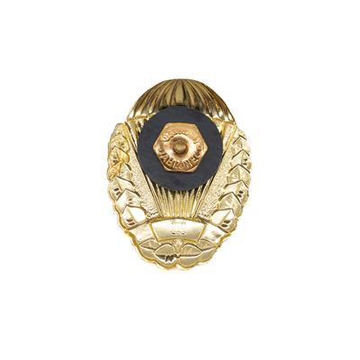 Fallschirmspringerabzeichen Gold III. Grad Tschechische Armee  86367-Z-III 2