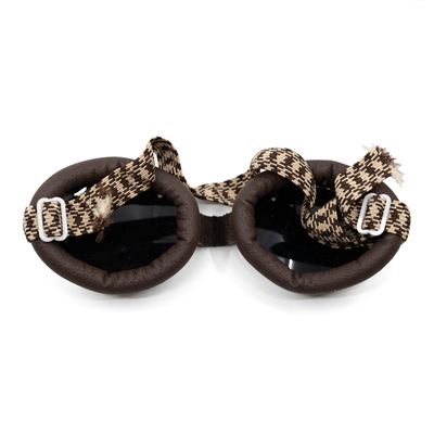 Österreichische Gletscherbrille mit Etui Österreichische Armee  9156702 5