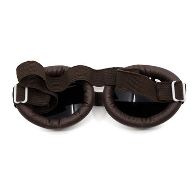 Österreichische Gletscherbrille mit Etui Österreichische Armee  9156702 6