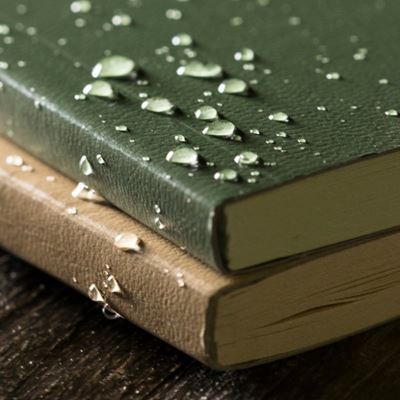 Notizbuch wasserabweisend RITE IN THE RAIN Field Book TAN