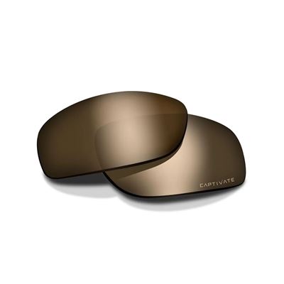Ersatzgläser für die Brille WX AXE POLARISIERTES CAPTIVATE™ TUNGSTEN