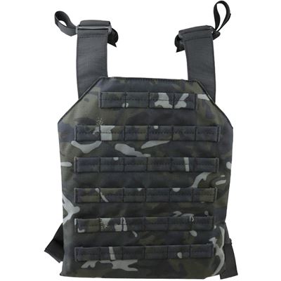 Plate Carrier SPARTAN Plattenträger BTP BLACK