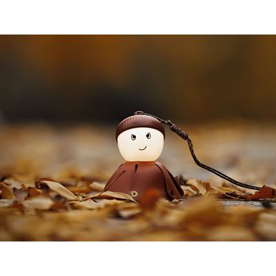 ACORN LIGHT wiederaufladbare Lampe