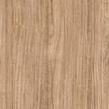 HOLZ